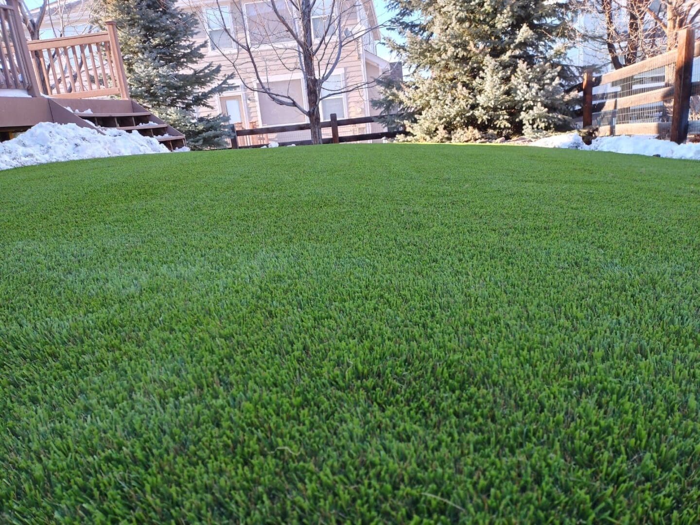 A green lawn with trees in the background