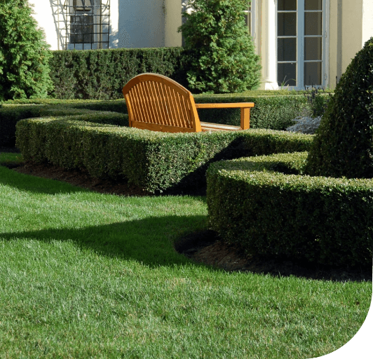 A garden with hedges and chairs in the grass.